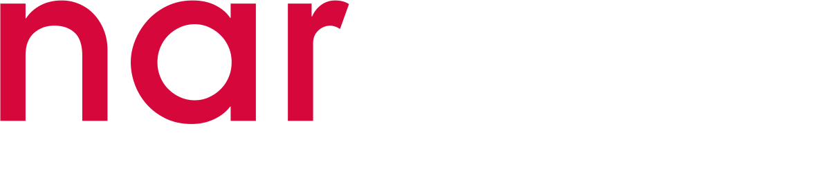 Nar Biilişim Web Tasarım ve Seo Hizmeti